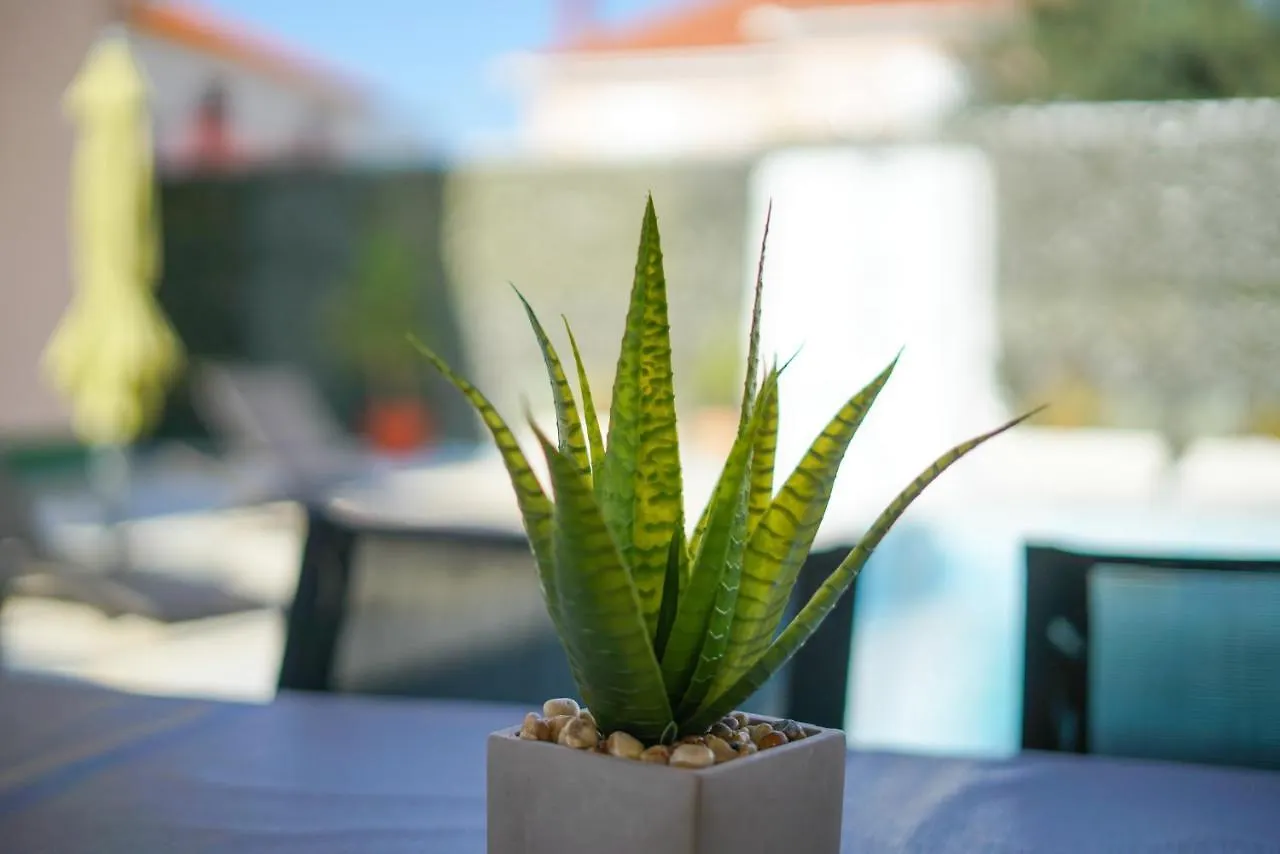 Villa Sanda With Private Pool Zadar